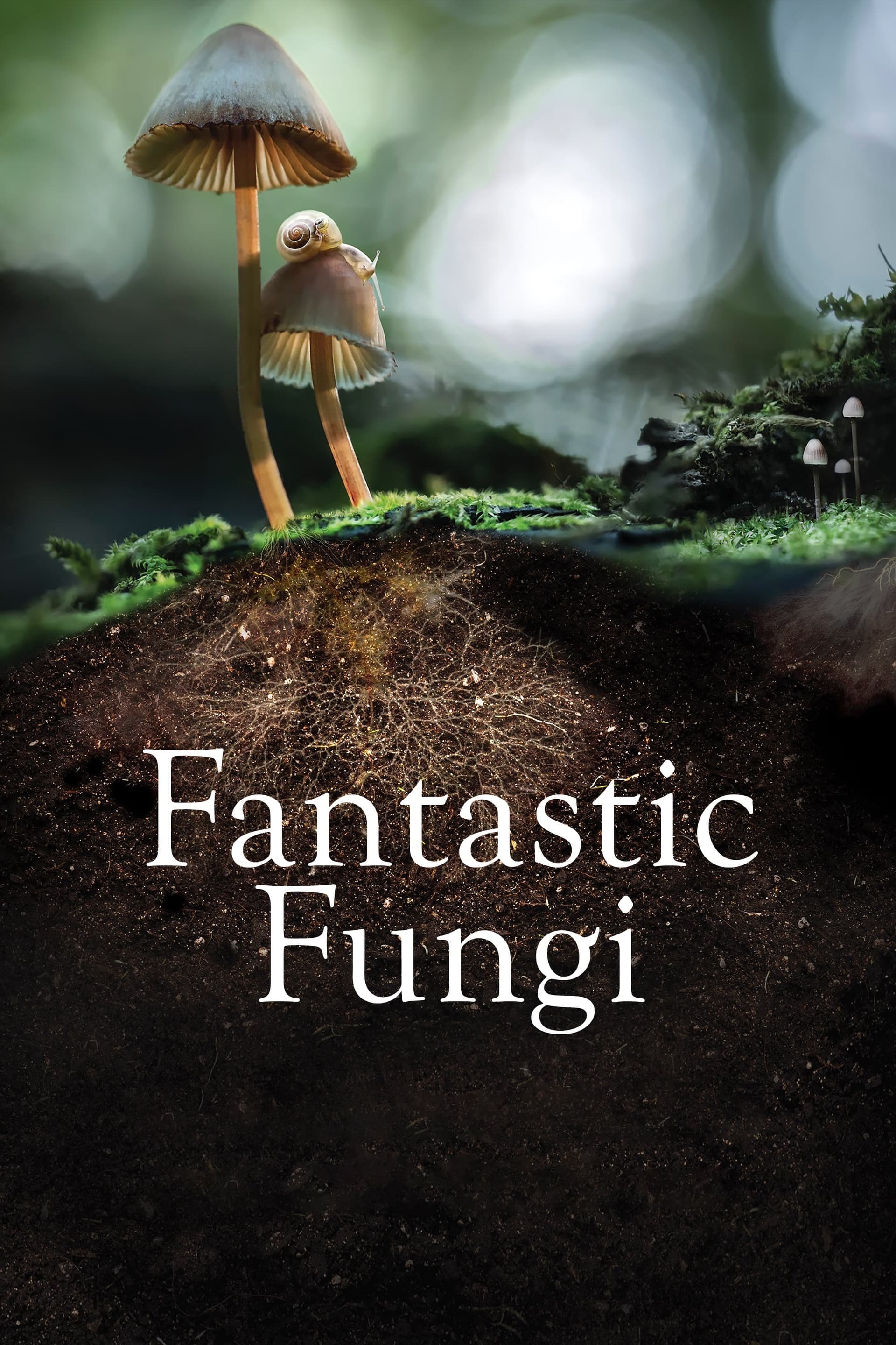 Fantastic Fungi целият филм