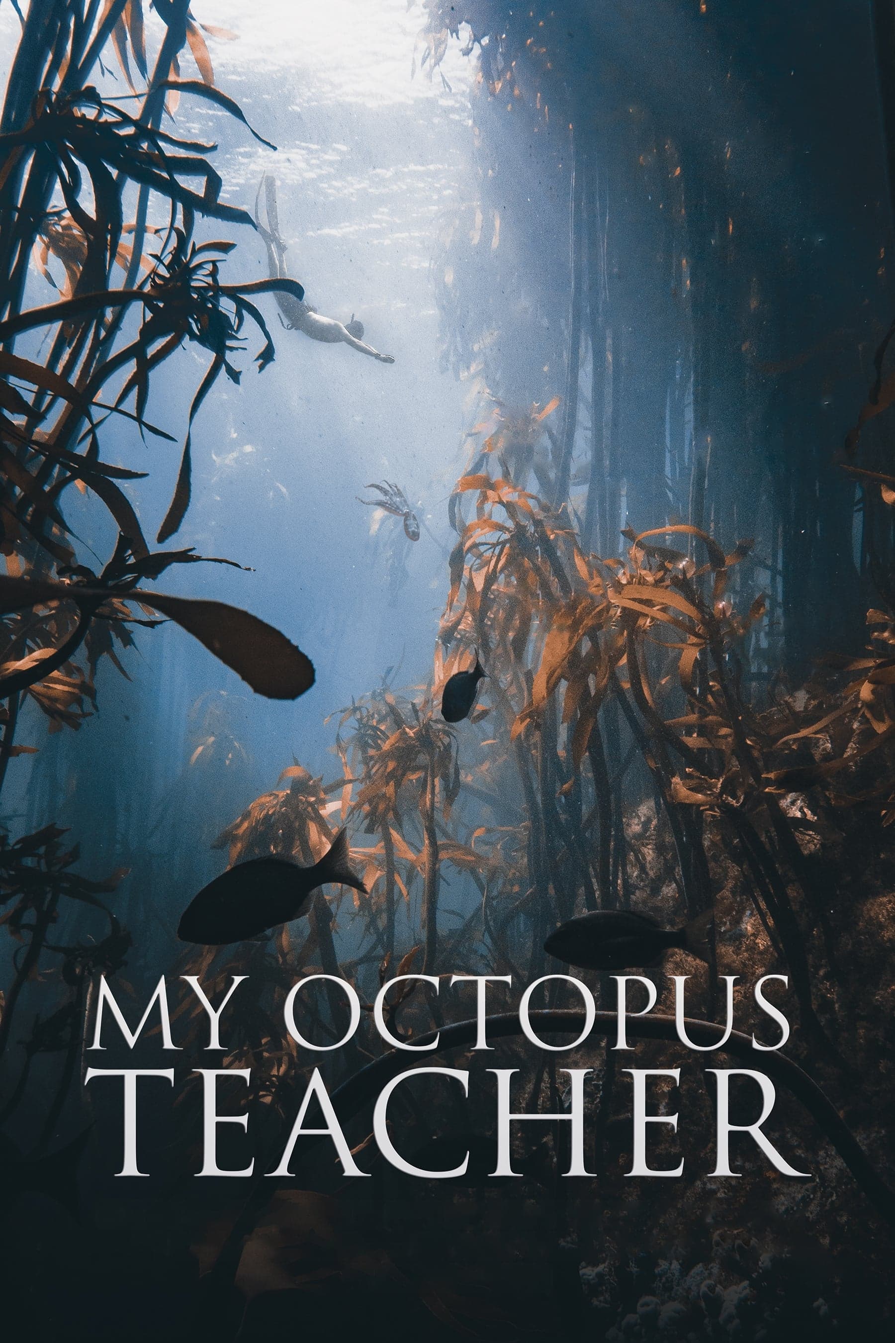 My Octopus Teacher целият филм