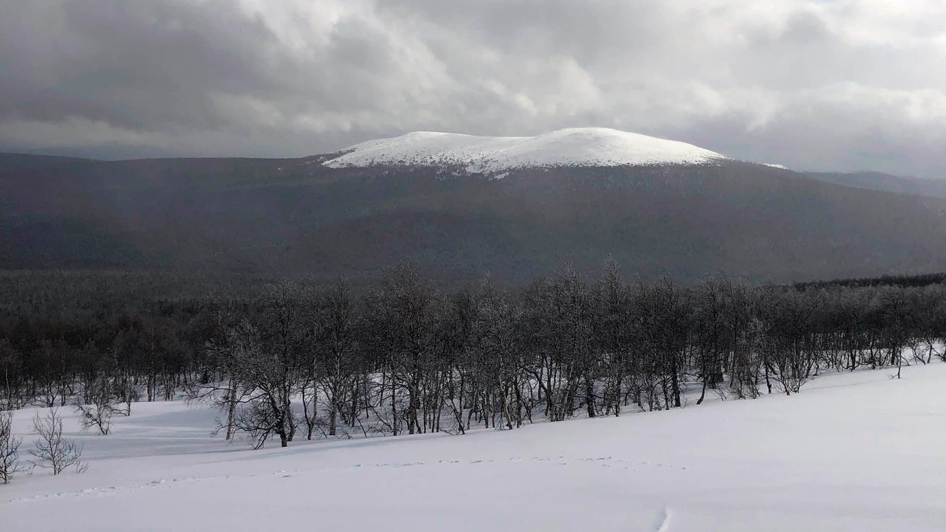 The Dyatlov Pass Incident